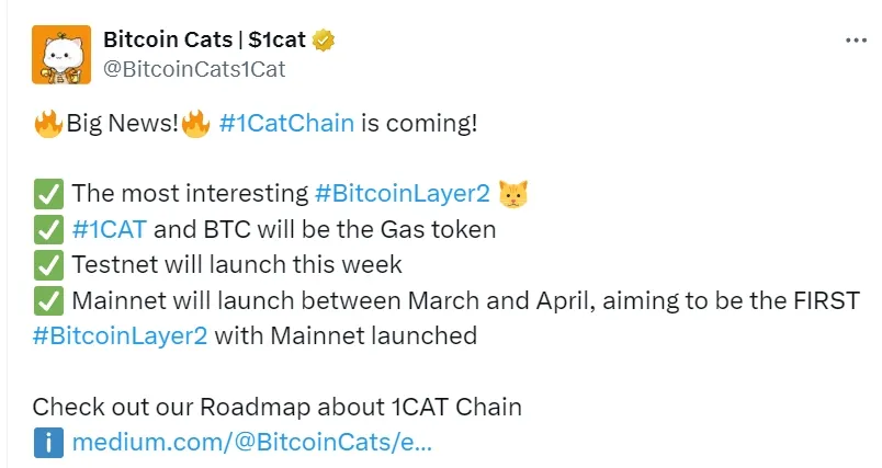 Bitcoin Cats 公布路线图：1CAT Chain 测试网将于本周上线，主网将于 3 月至 4 月推出