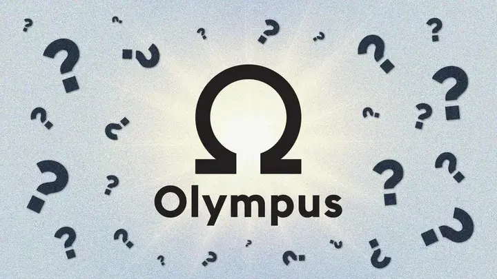 庞씨 붕괴 후 재기, OHM 팀은 여전히 부의 암호를 가져올 수 있을까?