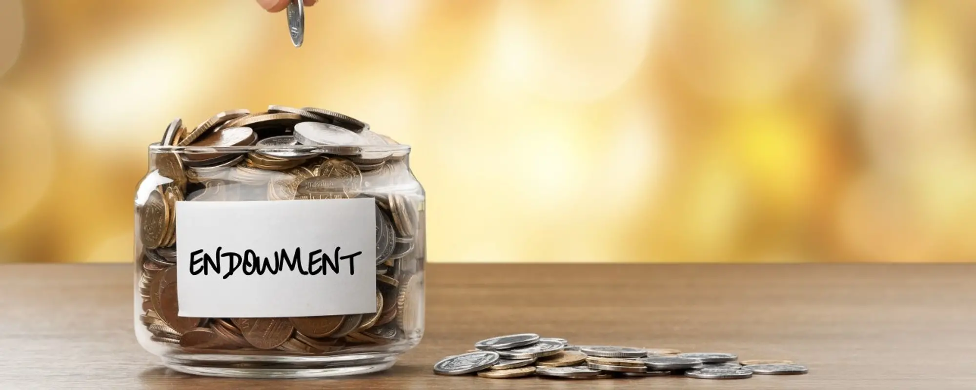 Arweave 第 17 版白皮书解读（6）：什么是存储基金 Endowment ？