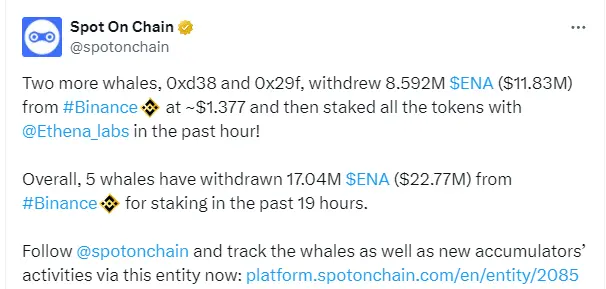 두 마리 거대한 고래가 바이낸스에서 859.2만 개의 ENA를 인출하여 에테나에 스테이킹했습니다