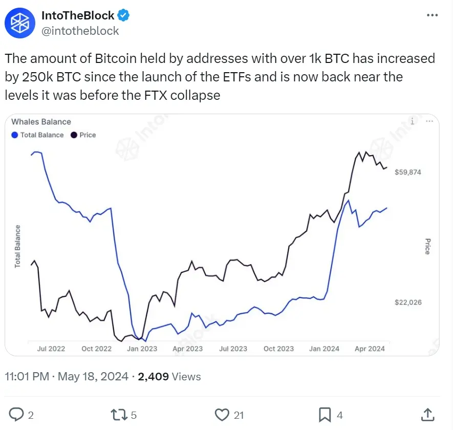 IntoTheBlock: Addresses holding over 1,000 BTC have balances close to pre-FTX bankruptcy levels
