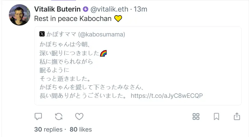 Vitalik 悼念 DOGE 原型去世：安息吧 Kabochan