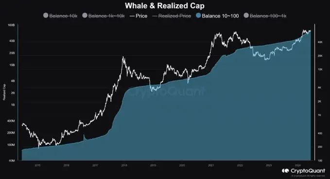 CryptoQuant：牛市の後半戦が始まったばかり