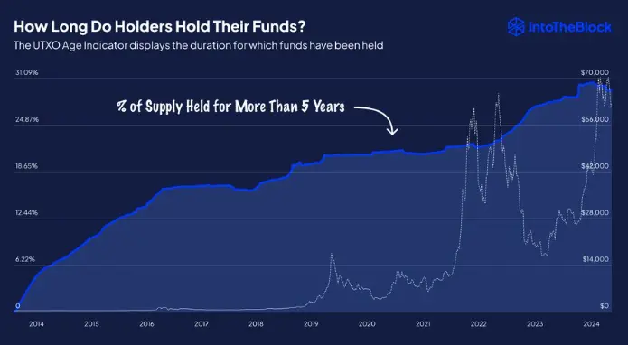 数据：超过 30% 的比特币供应量在过去 5 年内未发生移动