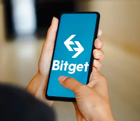 From unknown to earning tens of millions a day, what makes this company so impressive?