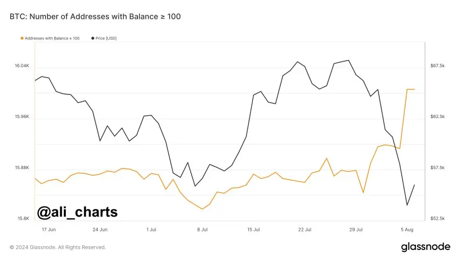 数据：持仓逾 100 枚 BTC 的鲸鱼地址数量在最近市场调整期间增至约 1.6 万个