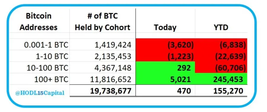 数据：持币逾 100 枚 BTC 巨鲸地址今日累计增持 5021 枚 BTC