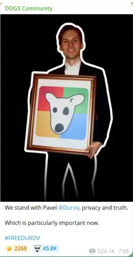 DOGS：私たちはパベル・デュロフを支持します。プライバシーと真実は特に重要です。