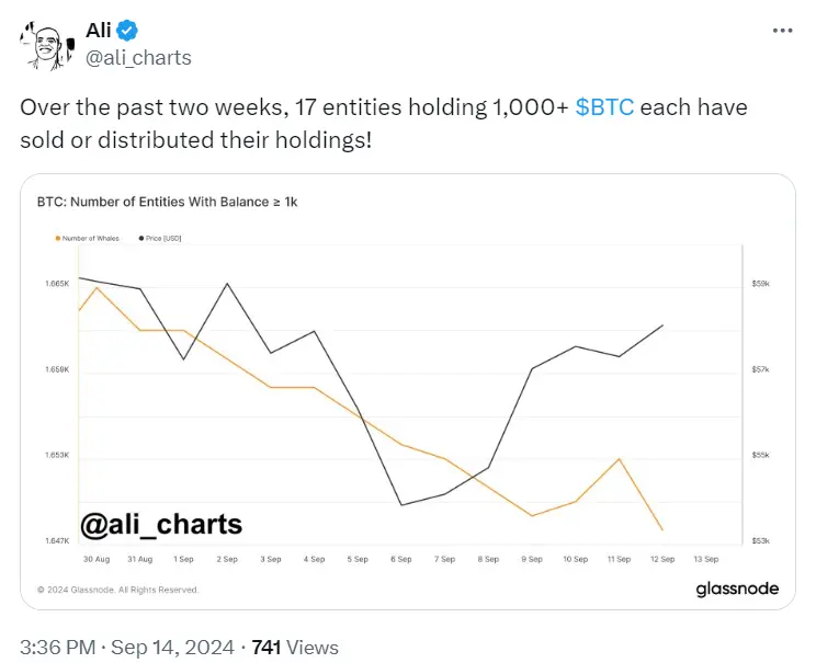 数据：过去两周 17 个持有超 1000 枚 BTC 的实体已出售或分配其资产