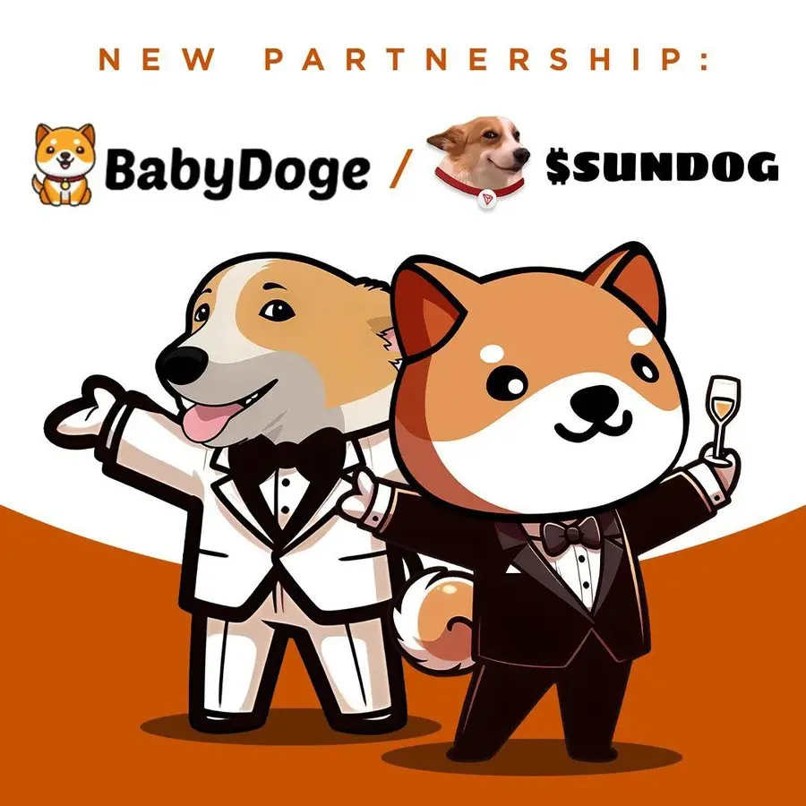 Baby Doge 与 SunDog 建立合作关系