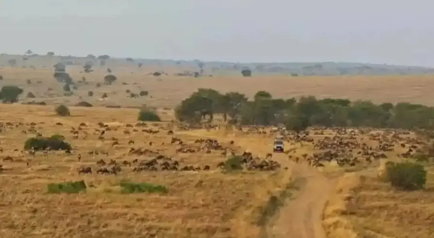 非洲的 Crypto，簡單又純粹