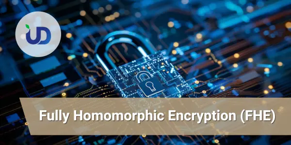 Понять коммерческую ценность гомоморфного шифрования AI+FHE за одну статью