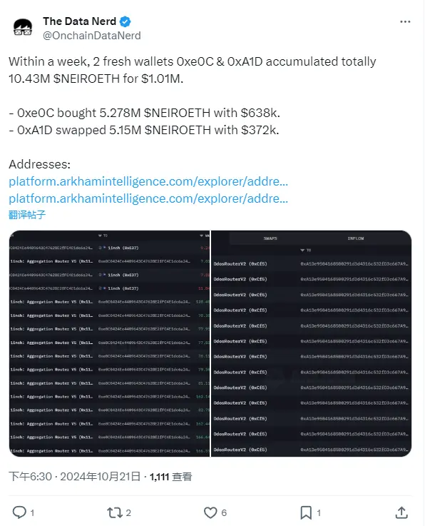 数据：两新钱包一周内囤积 1043 万枚 NEIROETH，价值 101 万美元