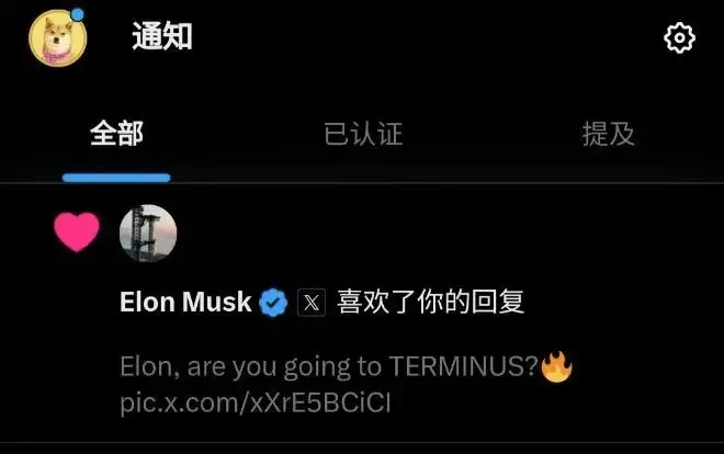 马斯克再次点赞 TERMINUS 社区成员推文，曾多次参与 TERMINUS 话题讨论