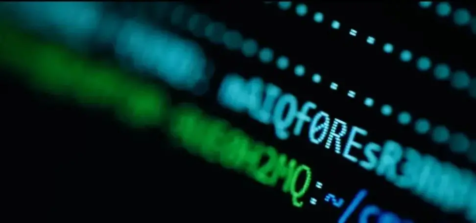 Eleven years ago, my brother bought dozens of bitcoins, and after losing the password, a hacker went through great efforts to help retrieve them