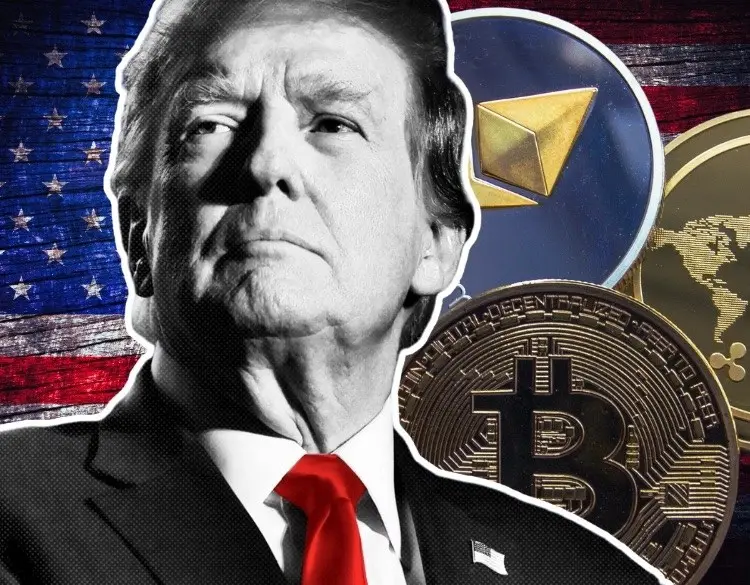 大选获胜，盘点特朗普相关加密货币资产
