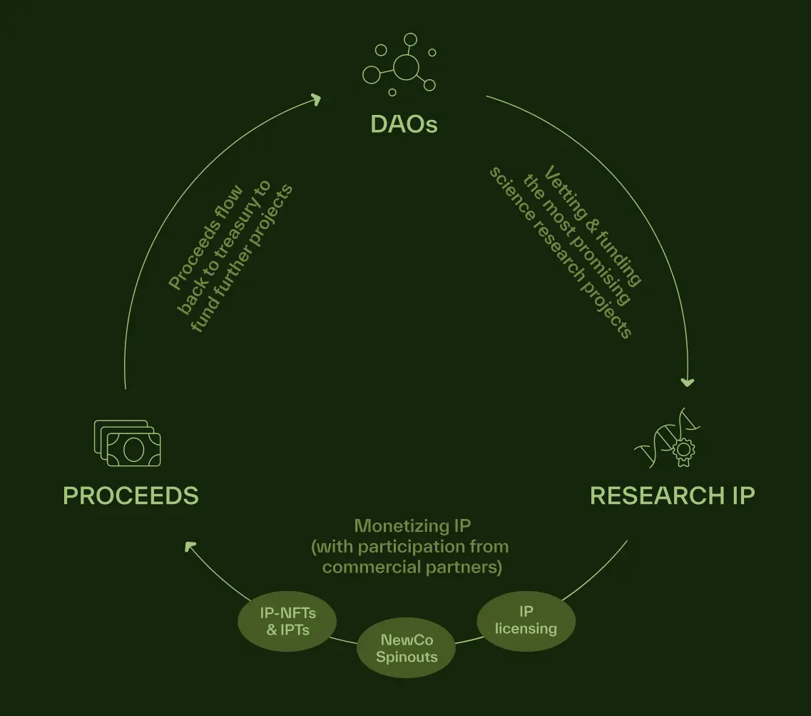 Interpreting BIO Protocol: Binance Labs' First Involvement in DeSci Investment, Building a Meaningful Research Funding Incubator