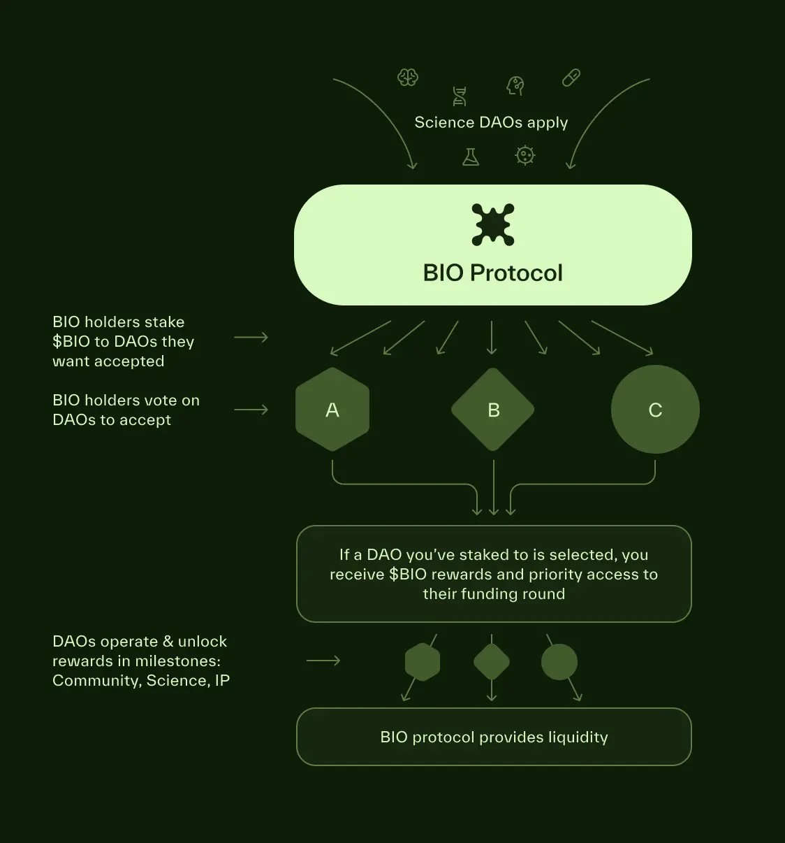 Interpreting BIO Protocol: Binance Labs' First Involvement in DeSci Investment, Building a Meaningful Research Funding Incubator