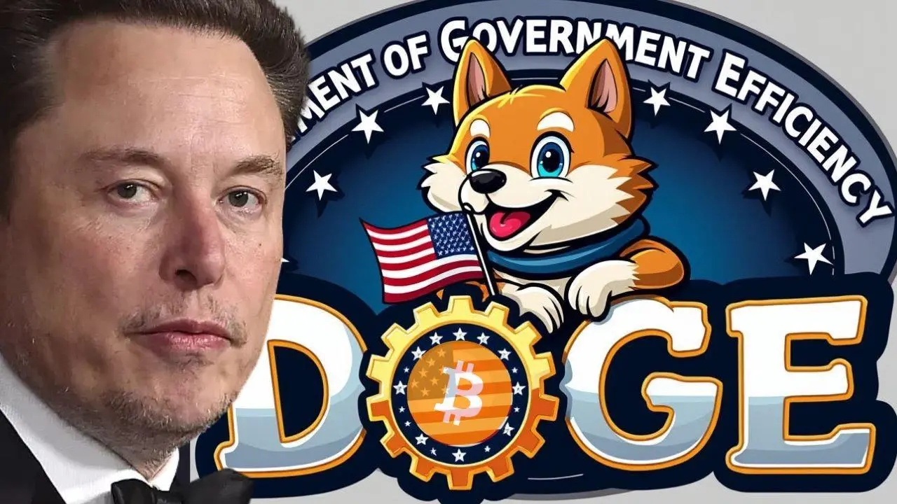 模因摇身一变成美国“发改委”,马斯克推动的DOGE还有多大想象空间?
