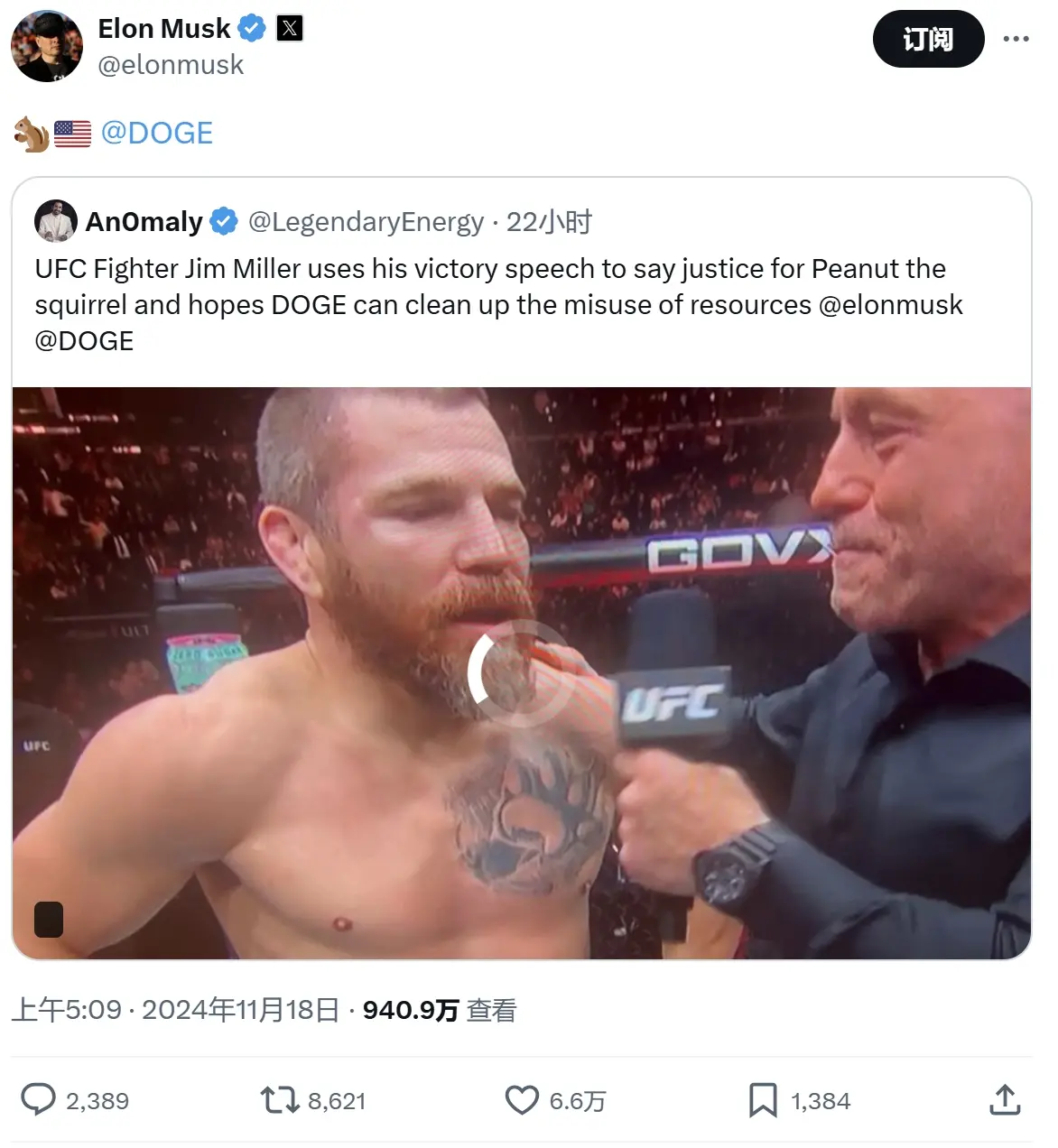 Musk posted again this morning mentioning Peanut and the Department of Government Efficiency (DOGE)