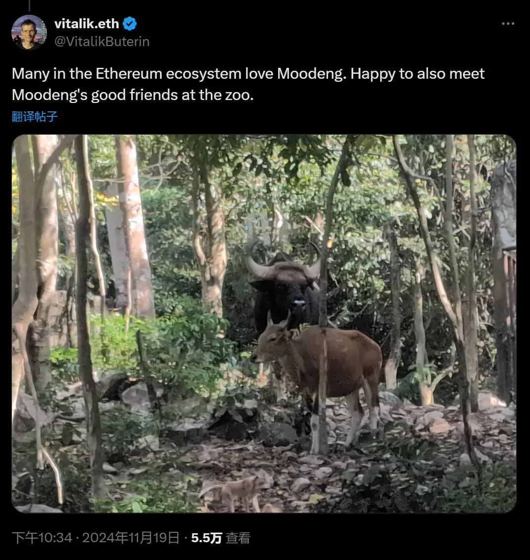 Vitalik이 “Moodeng”에 대해 언급했습니다