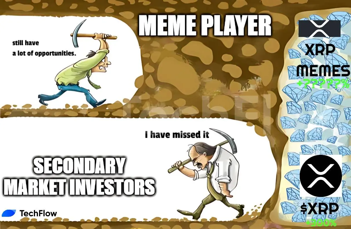 错过 XRP 涨幅？不妨看看瑞波生态内的热点 Meme 币（附参与教程）