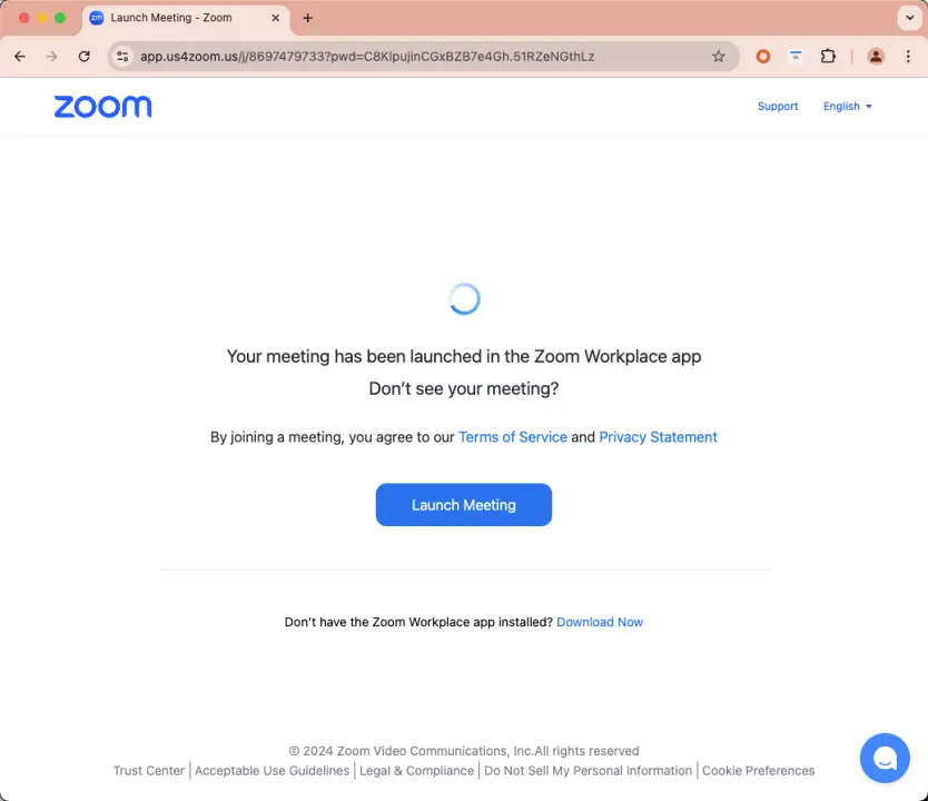 损失超 100 万美元，假 Zoom 会议钓鱼分析