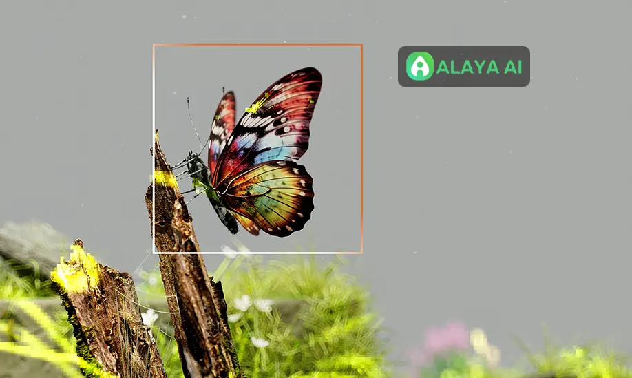 Alaya AI 用自动化解决方案革新数据标注行业