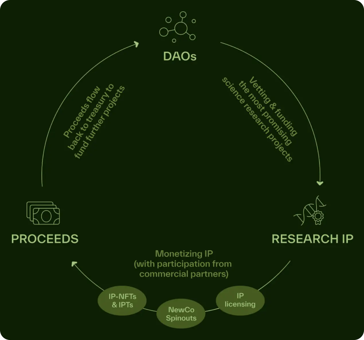 BIO Protocol 및 DeSci 분야 프로젝트가 과학 연구 발전의 새로운 패러다임을 혁신하는 방법