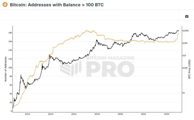 数据：持有 100 枚 BTC 以上地址数自特朗普当选以来增长 8.6%