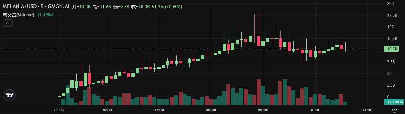 Two days before taking office, the Trump couple withdrew $65 billion from the cryptocurrency market