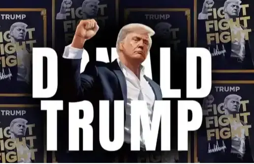 双子座的 E 人，特朗普的离谱操作源头