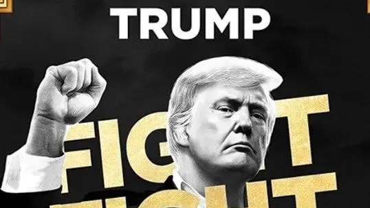 TRUMP 币的发行后续会带来哪些负面影响？