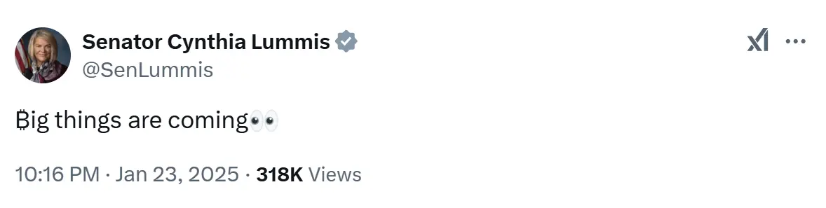 美参议员 Cynthia Lummis 暗示将于美东时间上午 10 点宣布与比特币相关重大消息