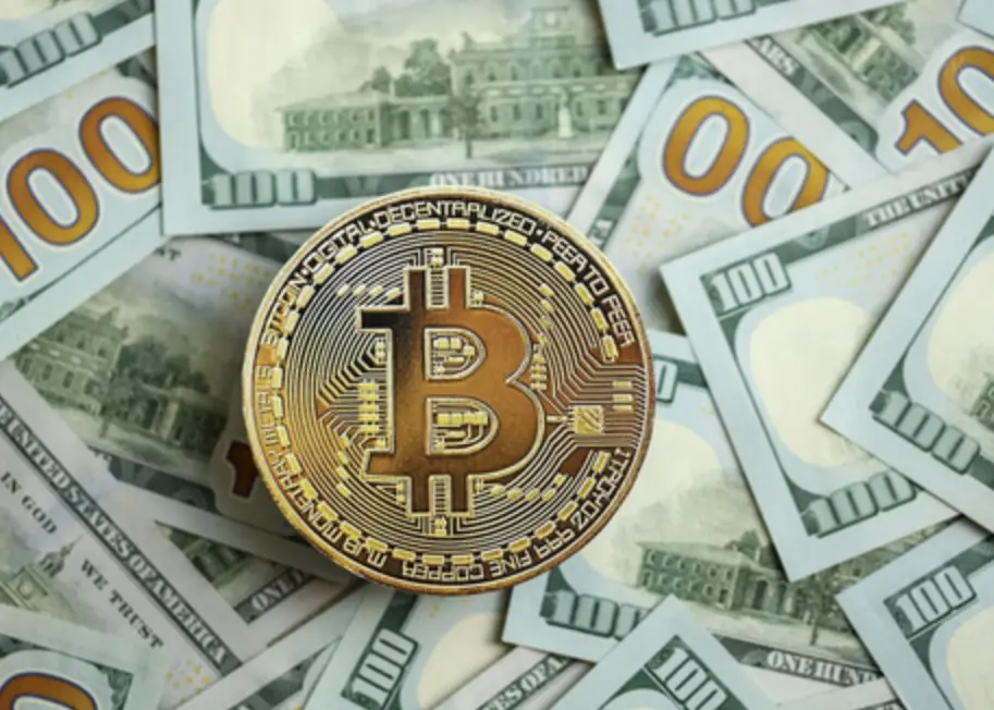 币圈归零指南：一万种死法