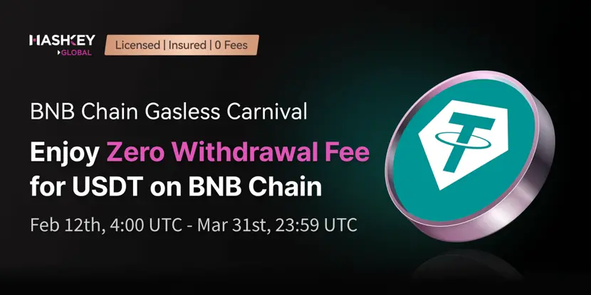 HashKey Global 宣布支持 BNB Chain Gasless Carnival，推出 BNB Chain 提币 USDT 0 手续费活动