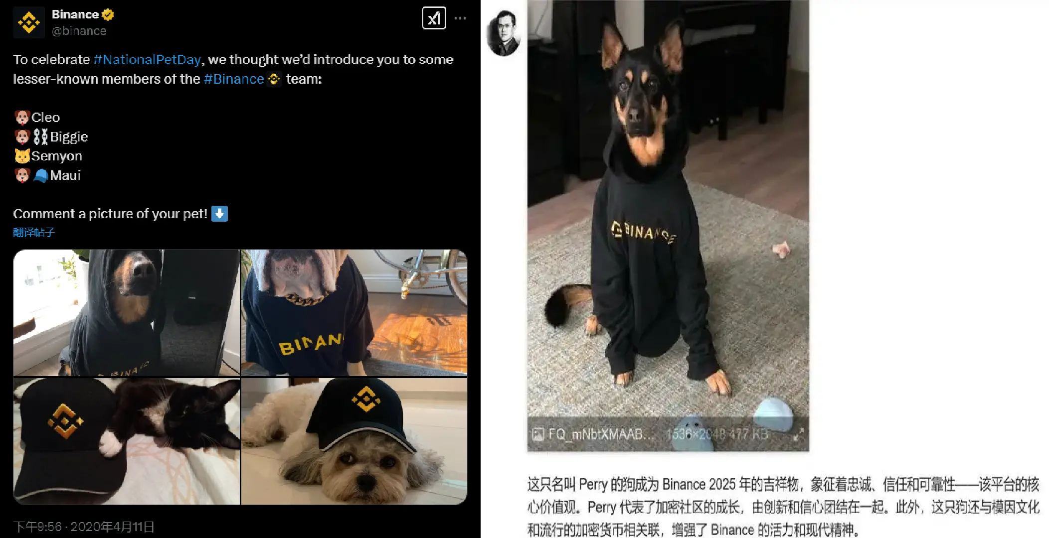 “BSC 系”涨幅霸榜,CZ 热能带动 BNBChain 生态一飞冲天吗?