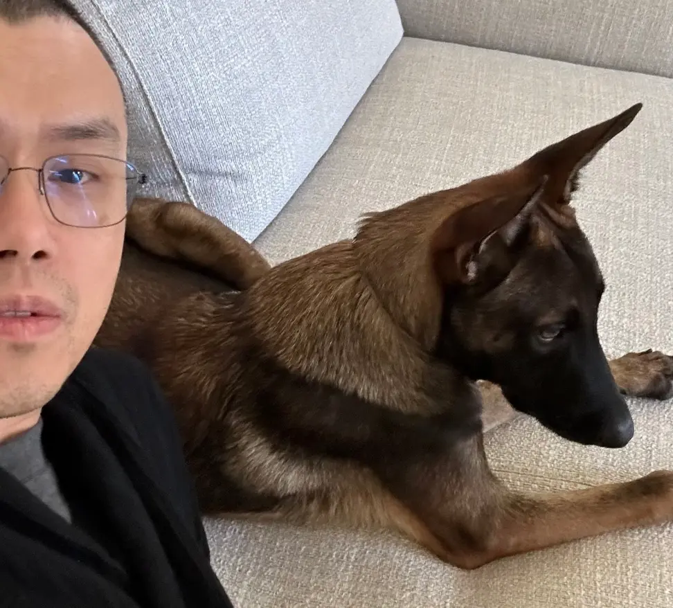 CZ 宠物狗引发的 Meme 年度闹剧，以骂声一片收场