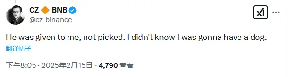 CZ：宠物犬Broccoli是他人赠送，此前并不知道自己会养狗