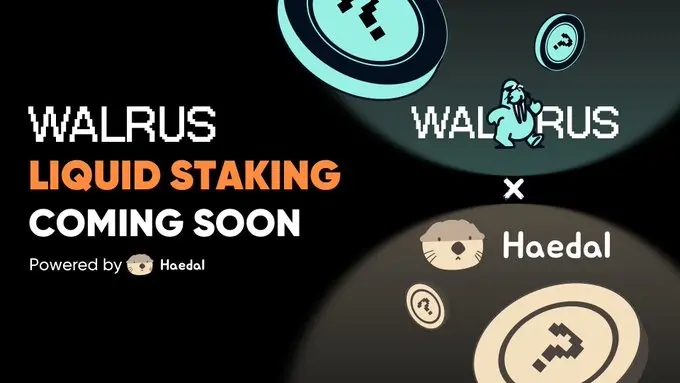 Sui 생태 프로토콜 Haedal은 Walrus에 유동성 스테이킹 지원을 제공할 것입니다