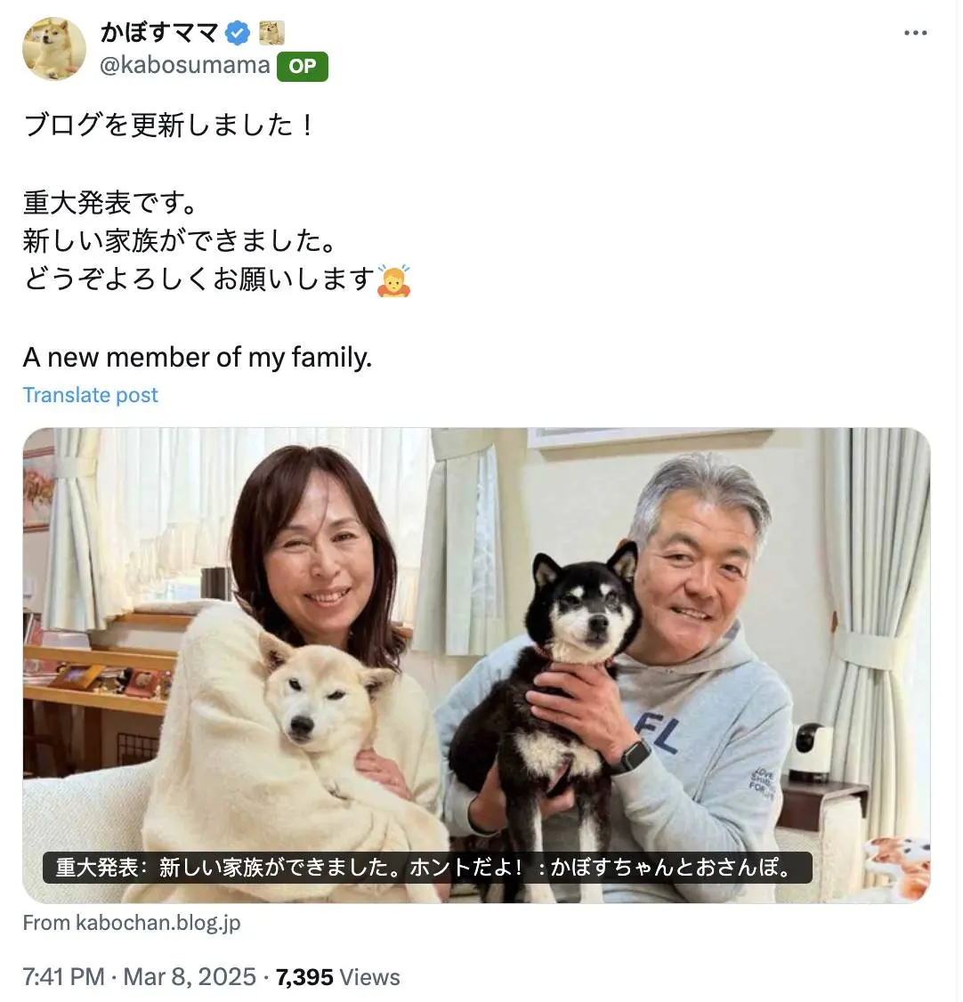 The owner of the DOGE prototype Shiba Inu KABOSU has adopted a new rescue dog named