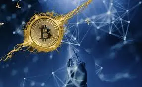 市场暴跌，盘点在悄悄抄底的机构们