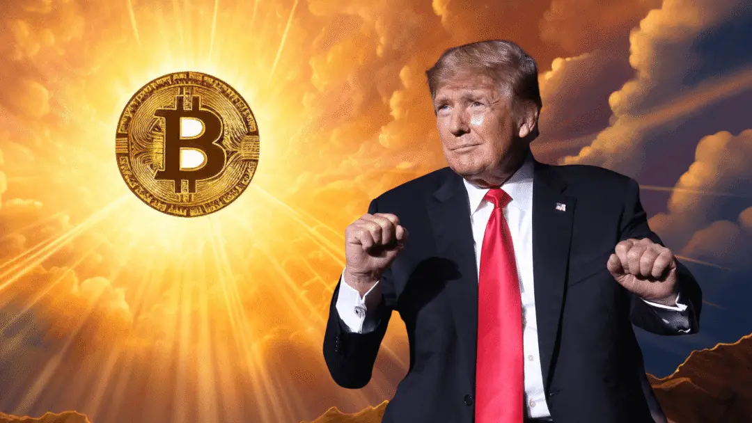 数据分析：特朗普的战略储备计划，是比特币的价格转折点吗？