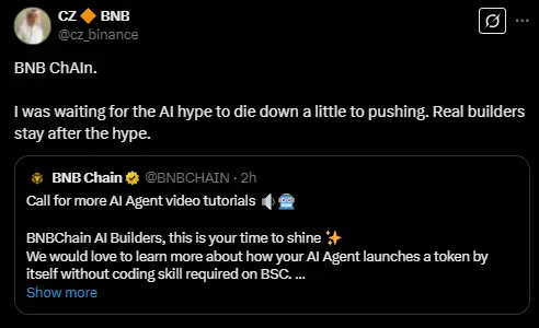 趙長鵬：一直在等待 AI 炒作平息，然後再開始推動 BNB AI