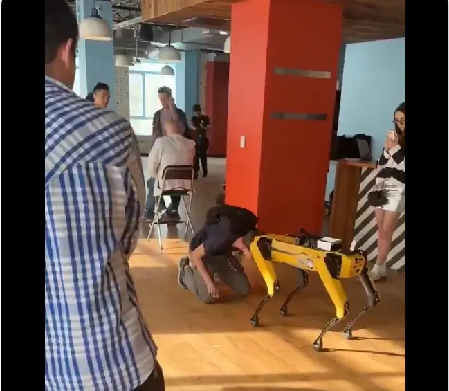 为什么以太坊过去一年完败比特币？
