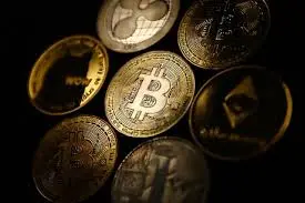 플랫폼 코인 다차원 비교: 누가 약세장에서 더 우수한 "금삽"인가?