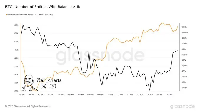 データ：1月下旬以来、100近くの1000枚以上のビットコインを保有する新しいエンティティがビットコインネットワークに参加しています。