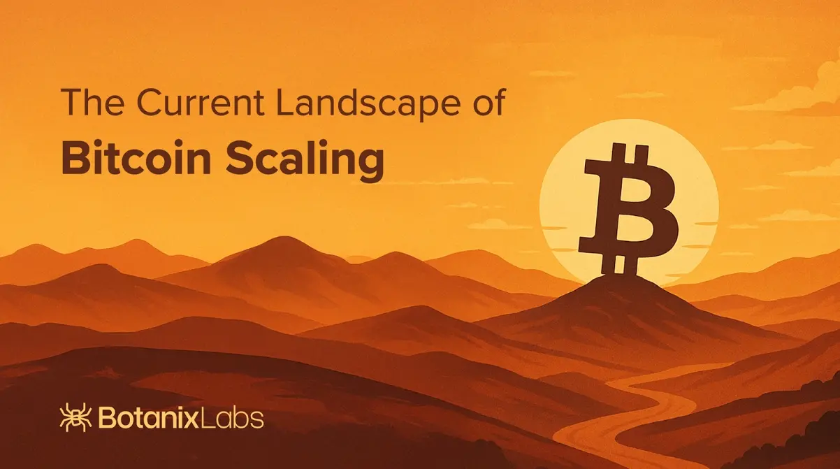 비트코인 확장의 현황