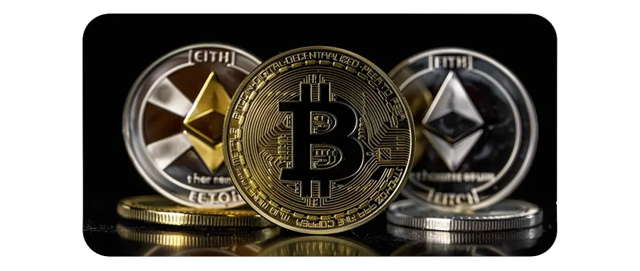 The investment journey of crypto punks: Differences in confidence and understanding in investment