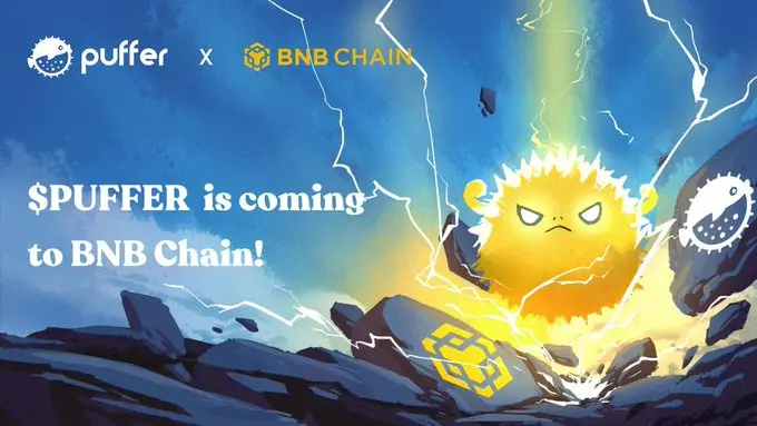 Puffer Finance 投資研究報告